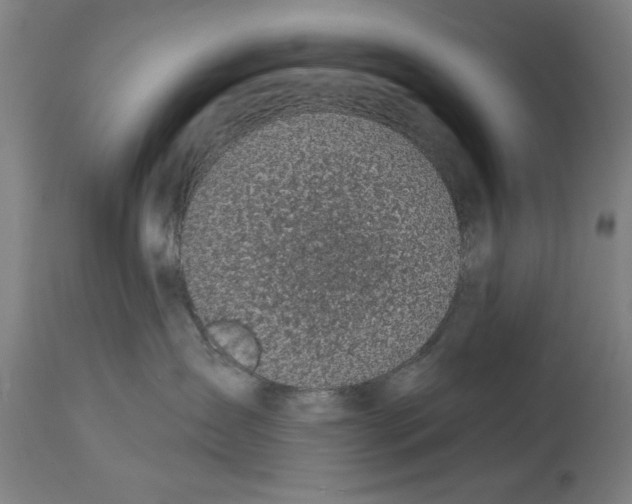 X0000114690431200911181257