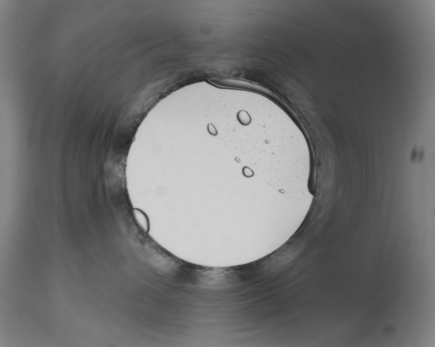 X0000114690432200911181257