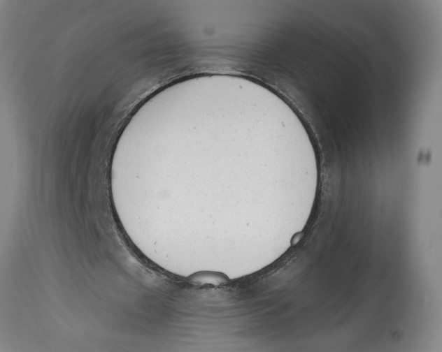 X0000114690433200911181257