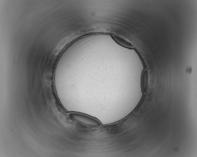 X0000114690434200911181257