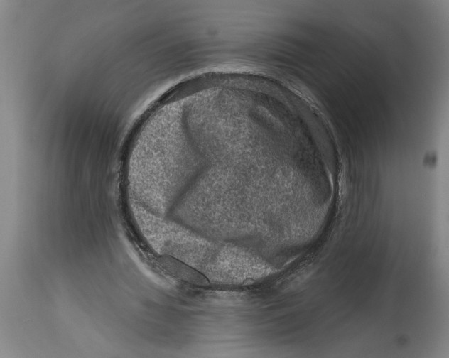 X0000114690436200911181257