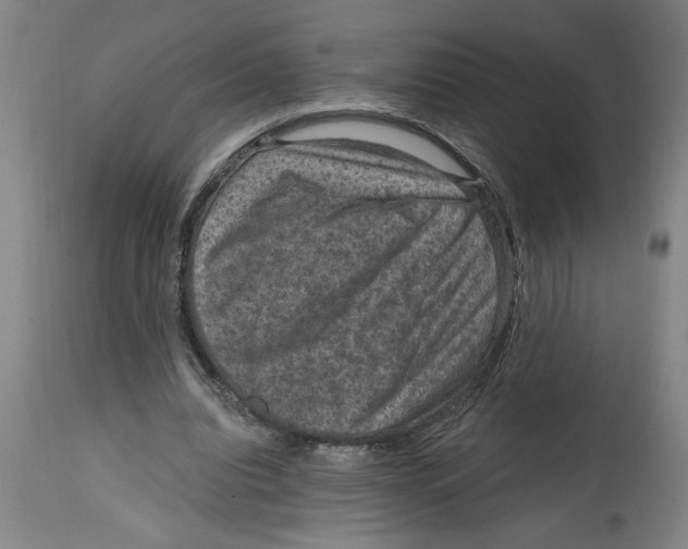 X0000114690440200911181257