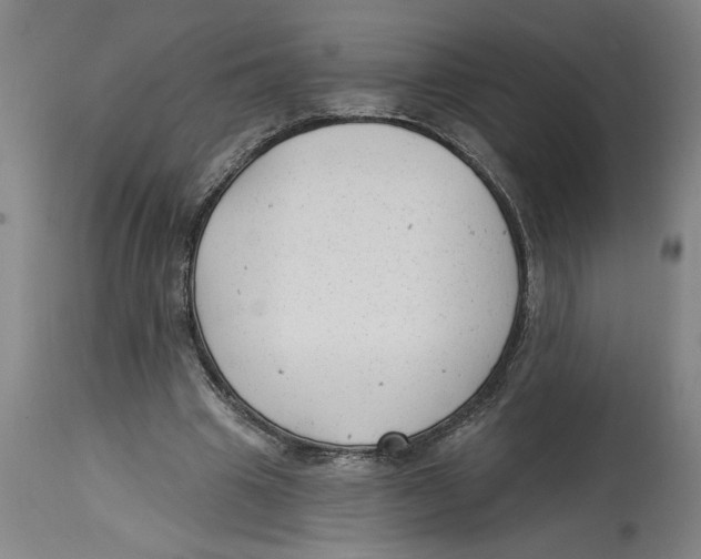 X0000114690441200911181257