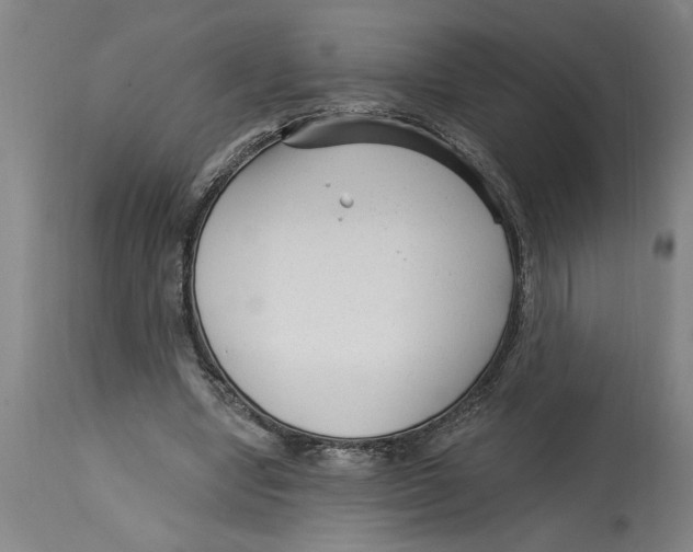 X0000114690442200911181257