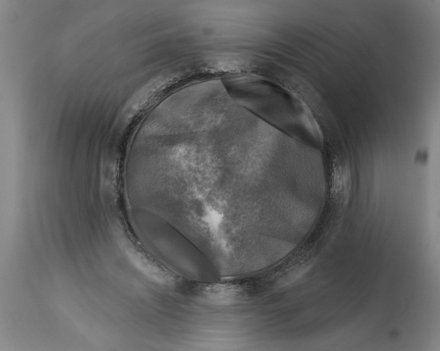 X0000114690444200911181257