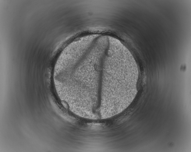 X0000114690448200911181257