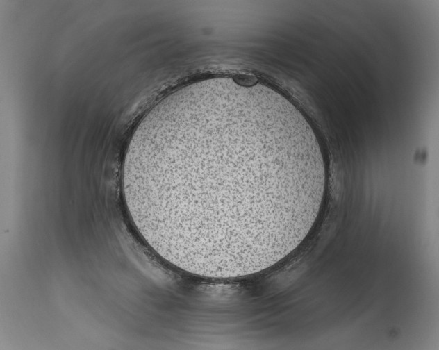 X0000114690449200911181257