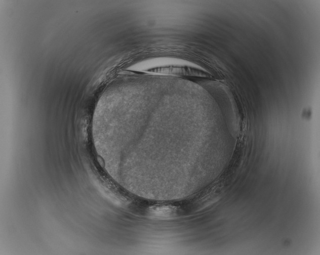 X0000114690452200911181257