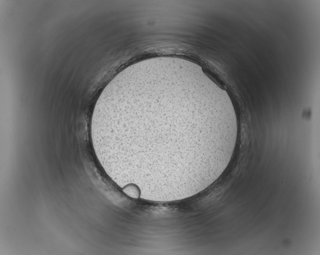 X0000114690453200911181257