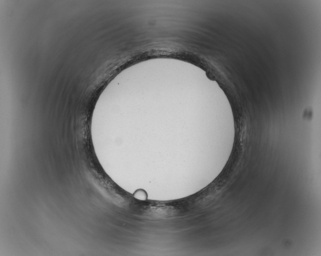 X0000114690455200911181257