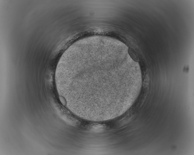 X0000114690456200911181257