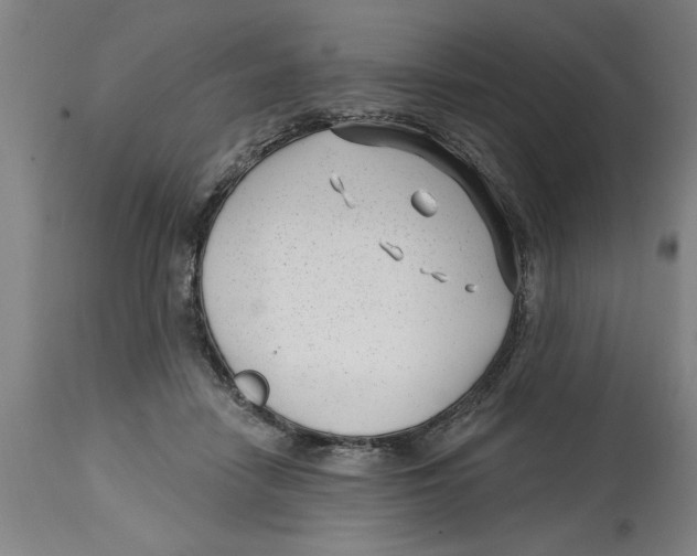 X0000114690458200911181257