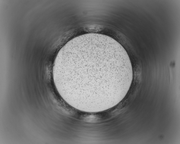 X0000114690460200911181257