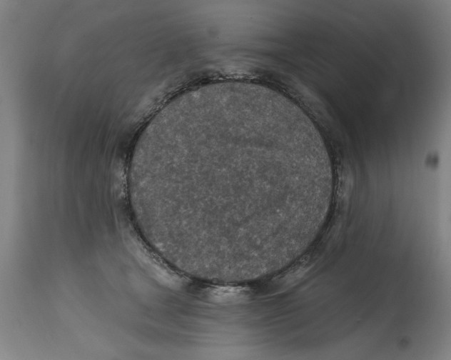 X0000114690465200911181257