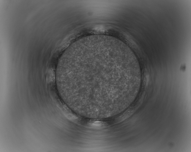 X0000114690467200911181257