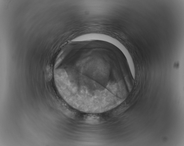 X0000114690471200911181257