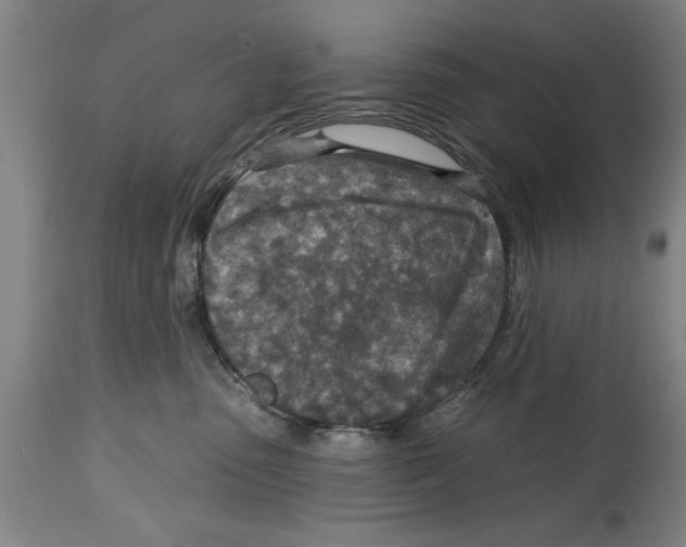 X0000114690475200911181257