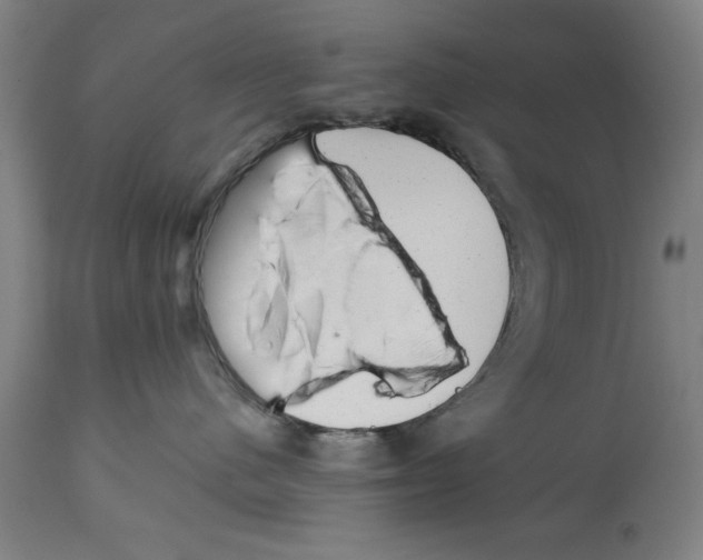 X0000114690480200911181257