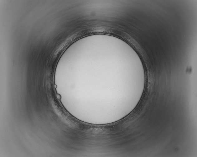 X0000114690482200911181257