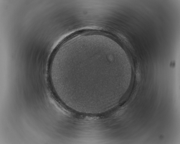 X0000114690484200911181257