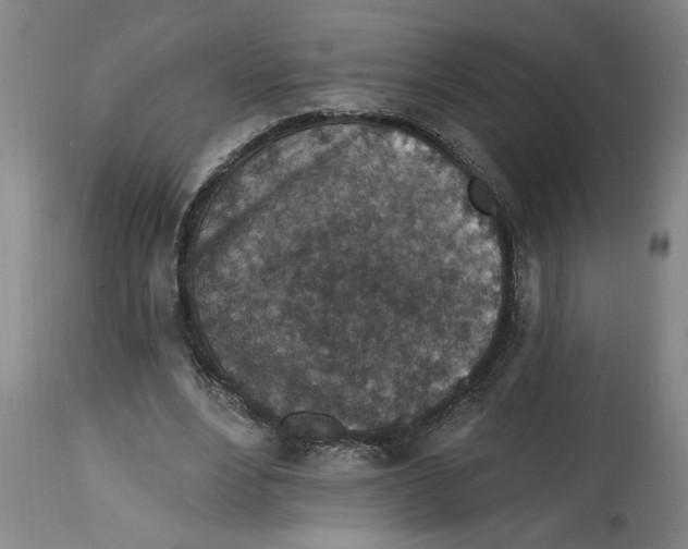 X0000114690488200911181256