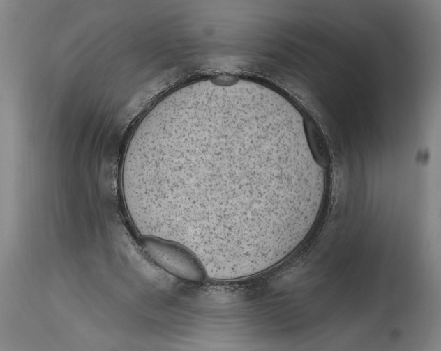 X0000114690489200911181256