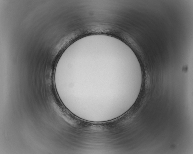 X0000114690490200911181256