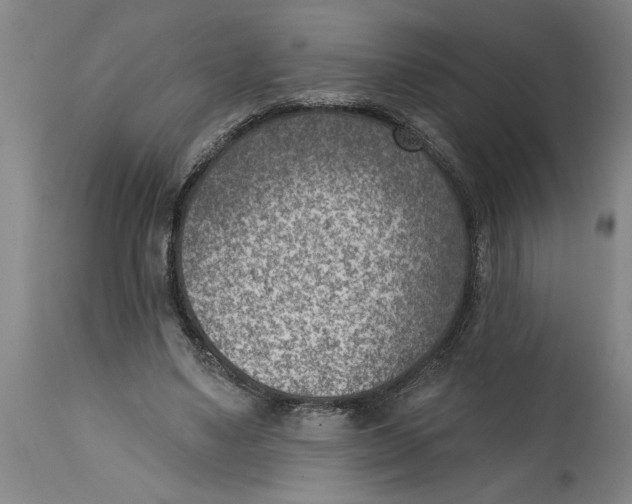 X0000114690491200911181256