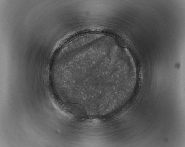 X0000114690492200911181256