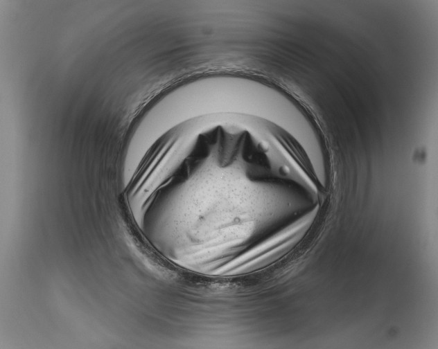 X0000114690493200911181256