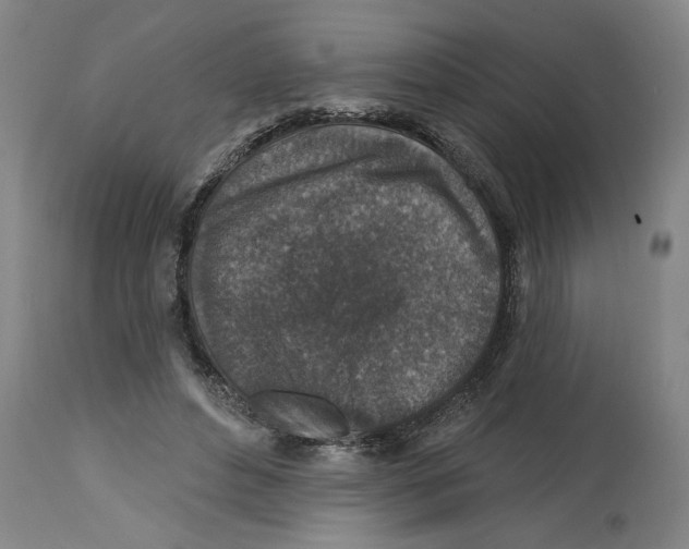 X0000114690496200911181256