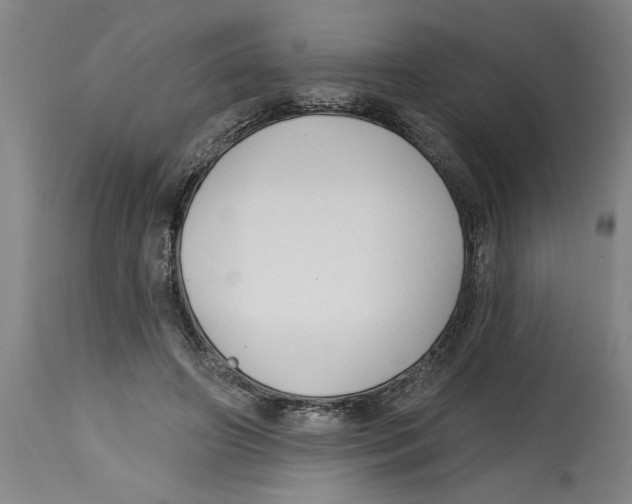 X0000114690498200911181256