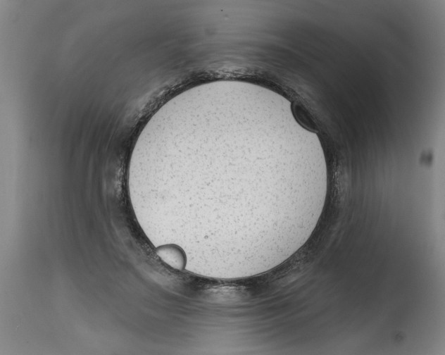 X0000114690499200911181256