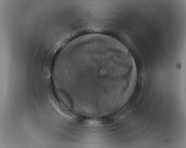 X0000114690500200911181256