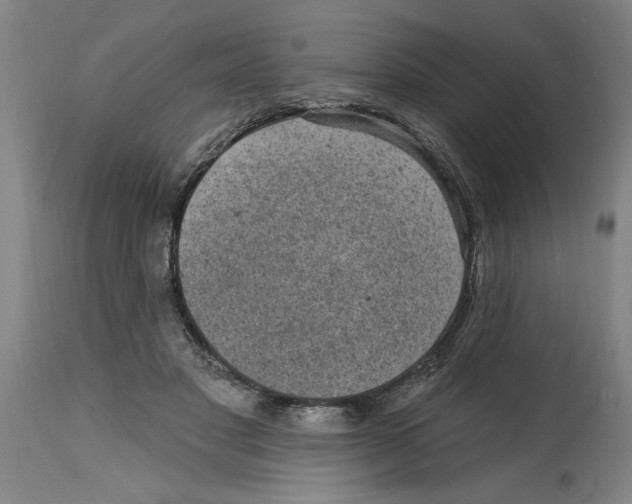 X0000114690501200911181256