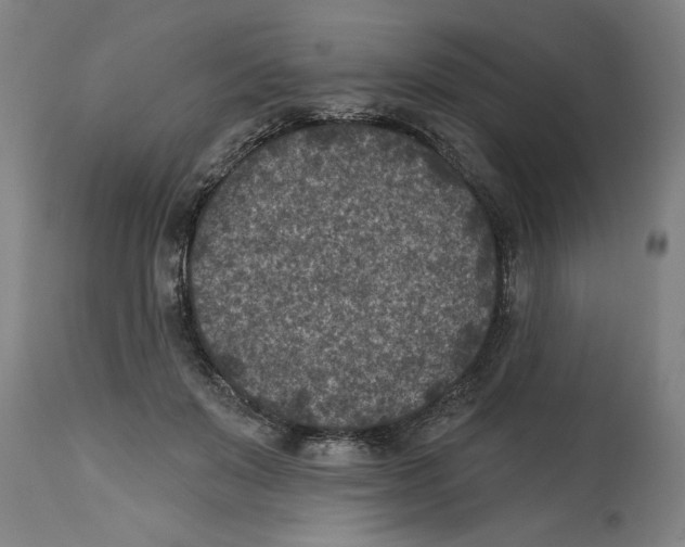 X0000114690503200911181256