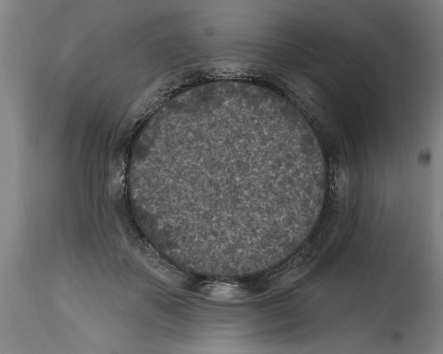 X0000114690507200911181256