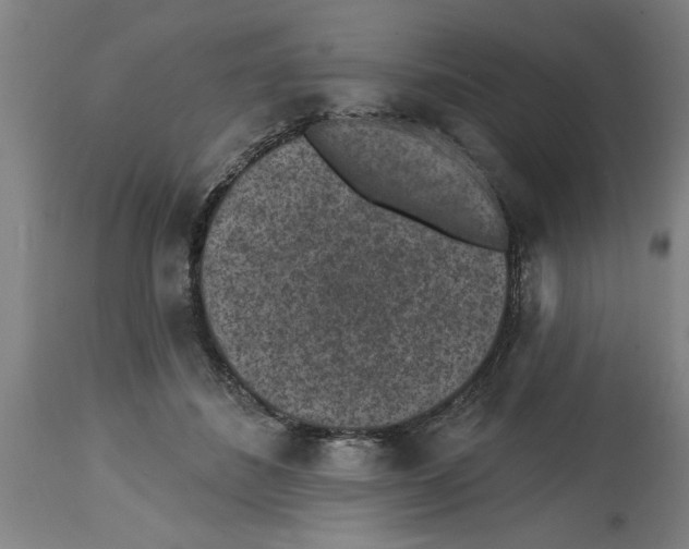 X0000114690508200911181256