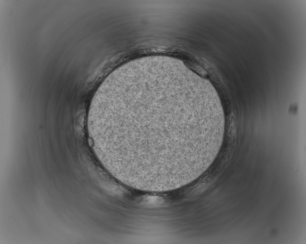 X0000114690509200911181256