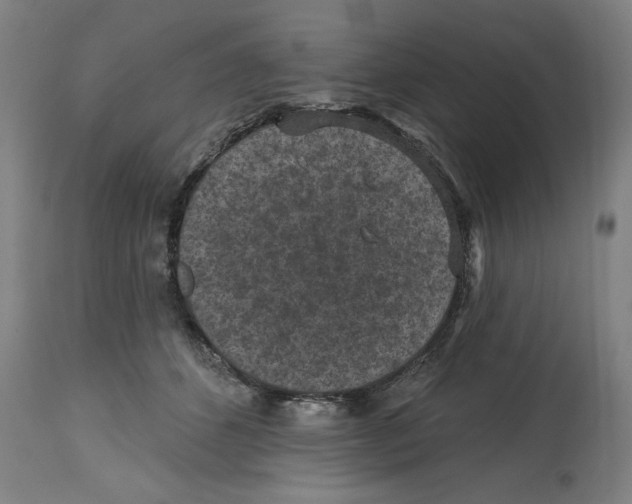 X0000114690512200911181256