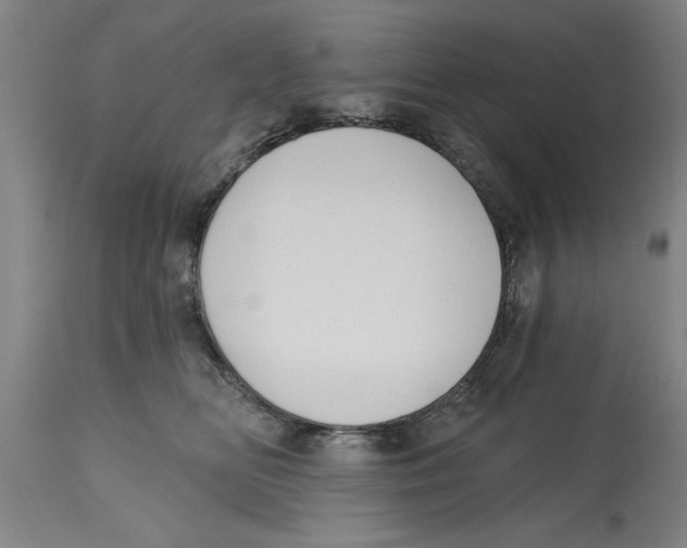 X0000114690518200911181256