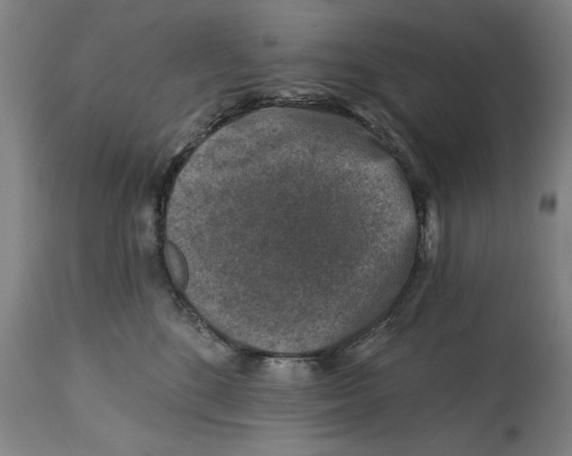 X0000114690520200911181256