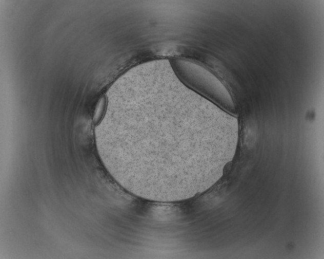 X0000114690521200911181256