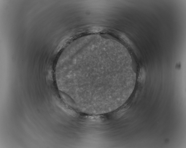 X0000114690524200911181256