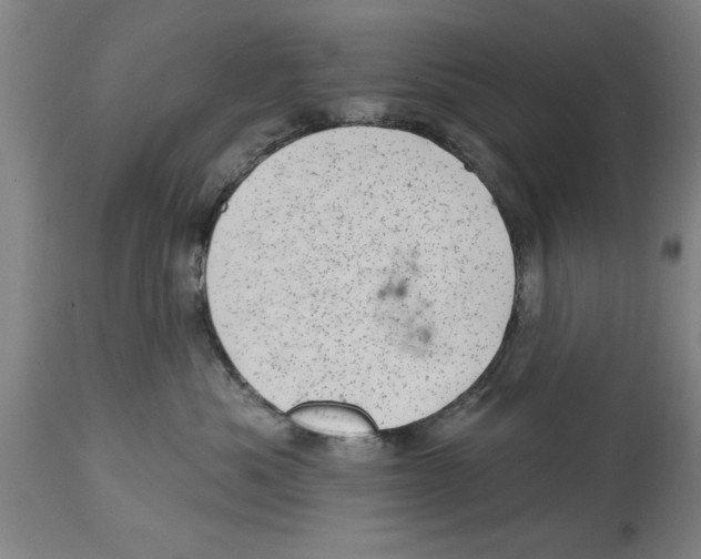 X0000114690525200911181256