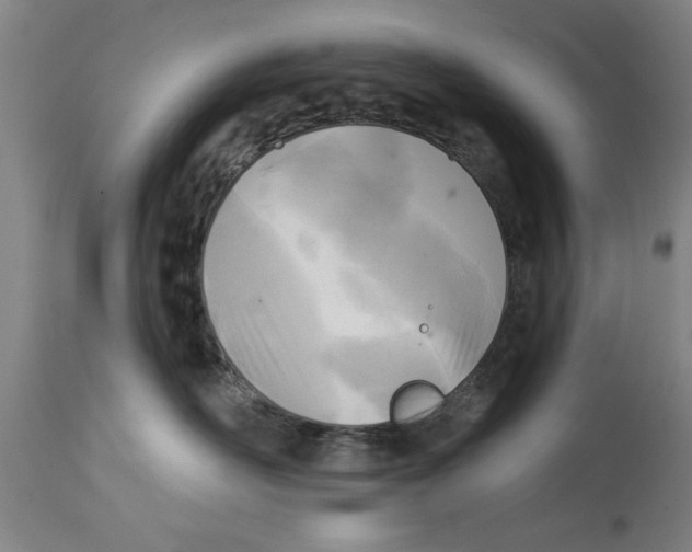 X0000114690526200911181256