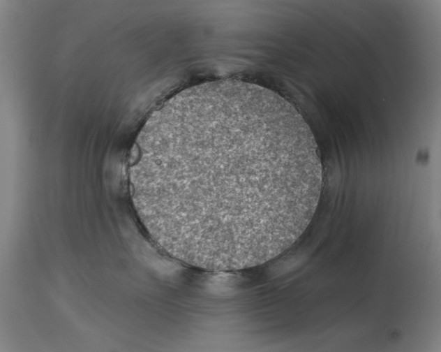 X0000114690527200911181256