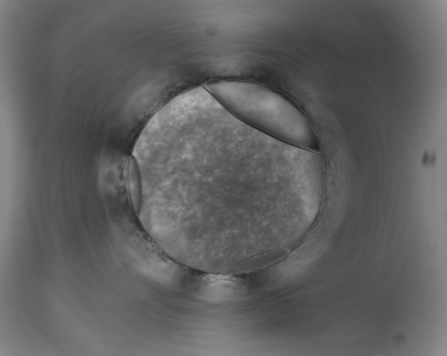 X0000114690528200911181256