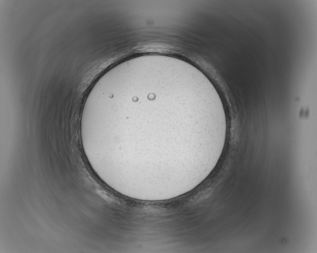 X0000114690529200911181255