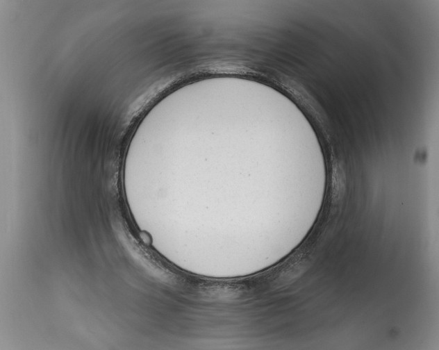 X0000114690533200911181255